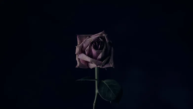 OnlyFans cuenta spookyspoonieshay header 2