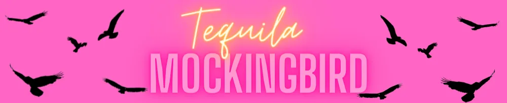 OnlyFans account  thekillamockingbird header 2