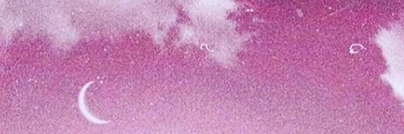OnlyFans cuenta linzefairy header 2