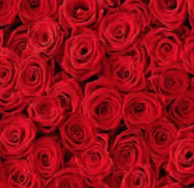 OnlyFans cuenta bonnetbabyyy header 2