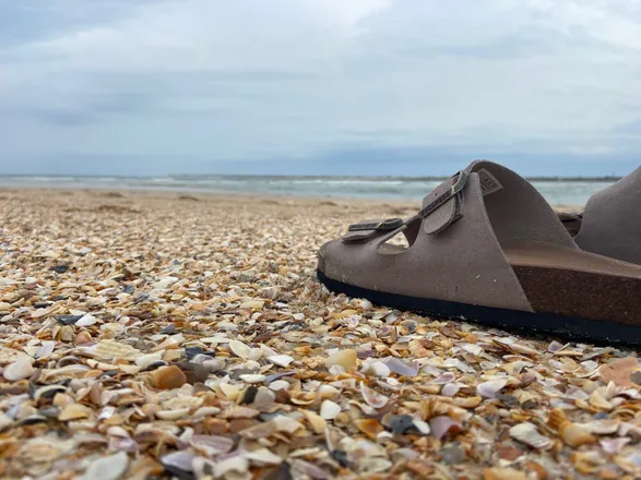 OnlyFans cuenta briarrosetoes header 2
