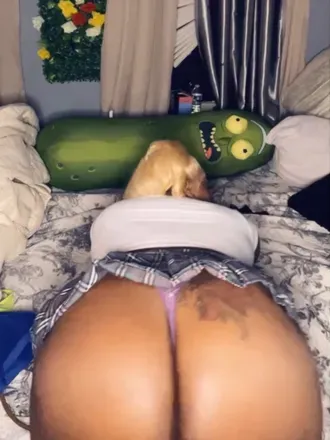 OnlyFans cuenta bunnigirlsenpa avatar 1