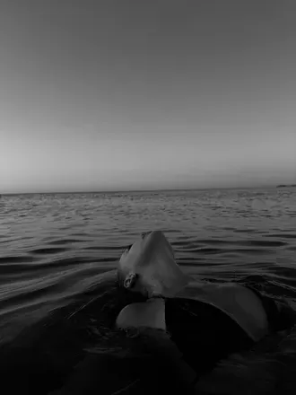 2025-08-20 photo 1