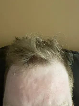 OnlyFans account  nerdguy25 avatar 1