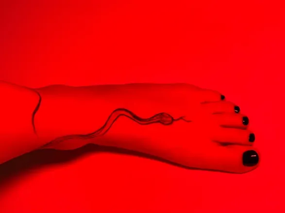 OnlyFans cuenta rougedom00 avatar 1