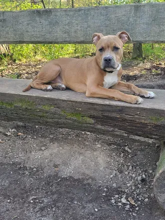 OnlyFans cuenta g.m.99 avatar 1