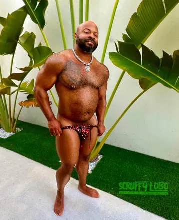 OnlyFans cuenta scruffy_lobo avatar 1