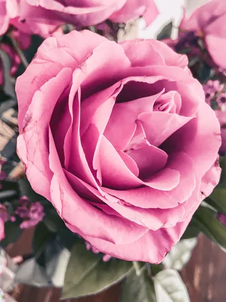 OnlyFans cuenta foreverfidelina header 2
