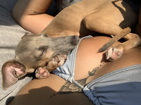 OnlyFans cuenta tys_88 header 2