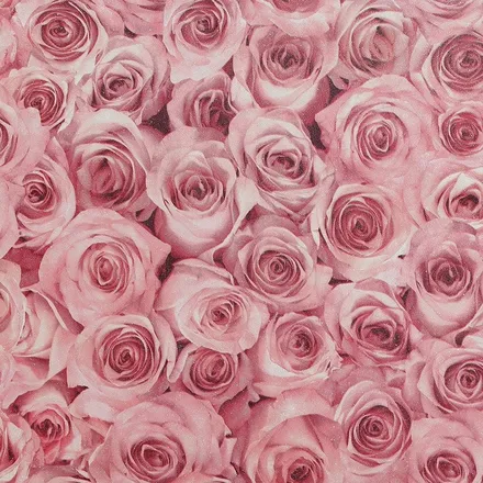 OnlyFans cuenta cashbarbie.xo header 2