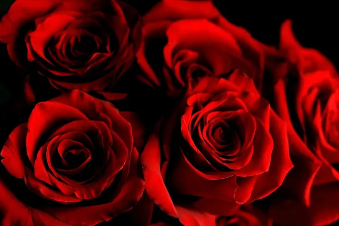 OnlyFans cuenta snowwhite71997 header 2