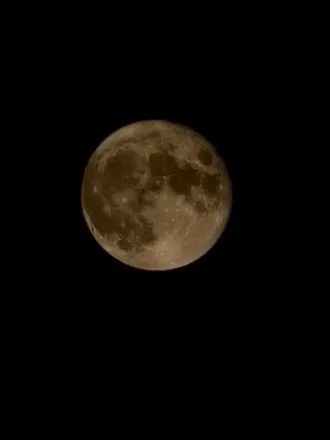 OnlyFans cuenta nocturnalpoison header 2