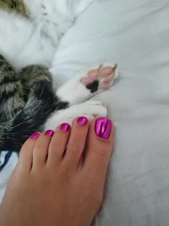 OnlyFans cuenta cutepaws123 header 2