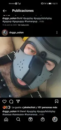 OnlyFans cuenta doggo_aukan avatar 1