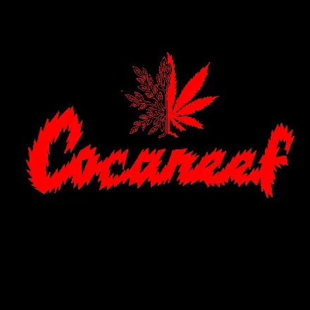 OnlyFans cuenta cocareef header 1