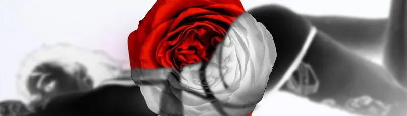 OnlyFans cuenta lolarossee header 2