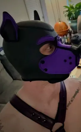 OnlyFans account  thepuptheta avatar 1