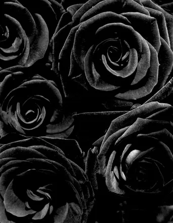 OnlyFans cuenta millymills16 header 2