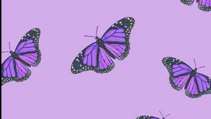 OnlyFans cuenta starryy_angel header 2