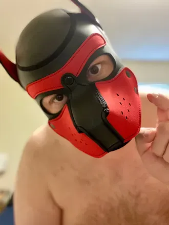 OnlyFans cuenta pup_page avatar 1