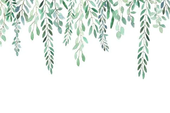 OnlyFans cuenta cails header 2