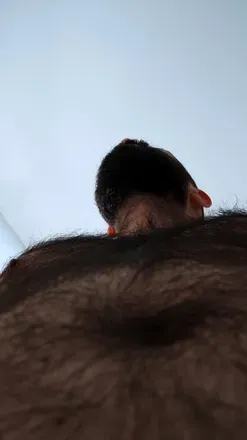 OnlyFans cuenta casibiologo avatar 1