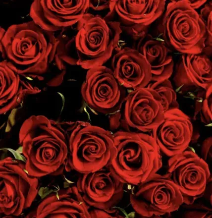 OnlyFans cuenta u173213328 header 2