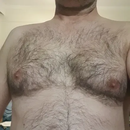 OnlyFans account  beta-bear avatar 1
