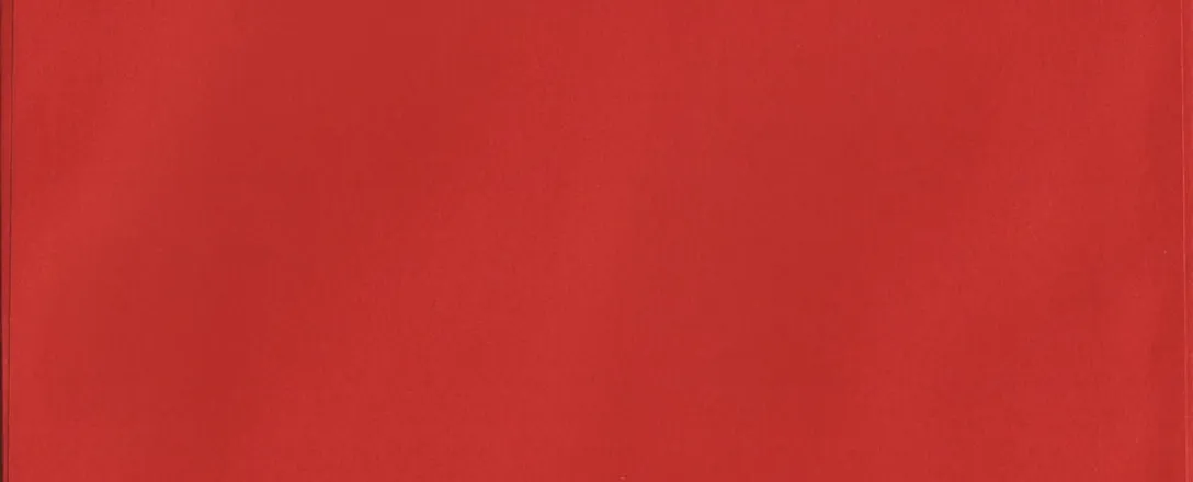 OnlyFans cuenta mikes_big_cock header 2