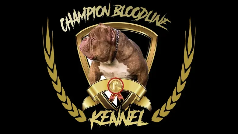 OnlyFans account  cbkennells avatar 1