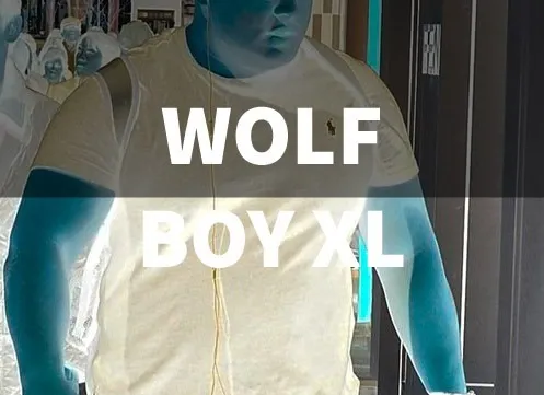 OnlyFans cuenta wolfboyxl header 2
