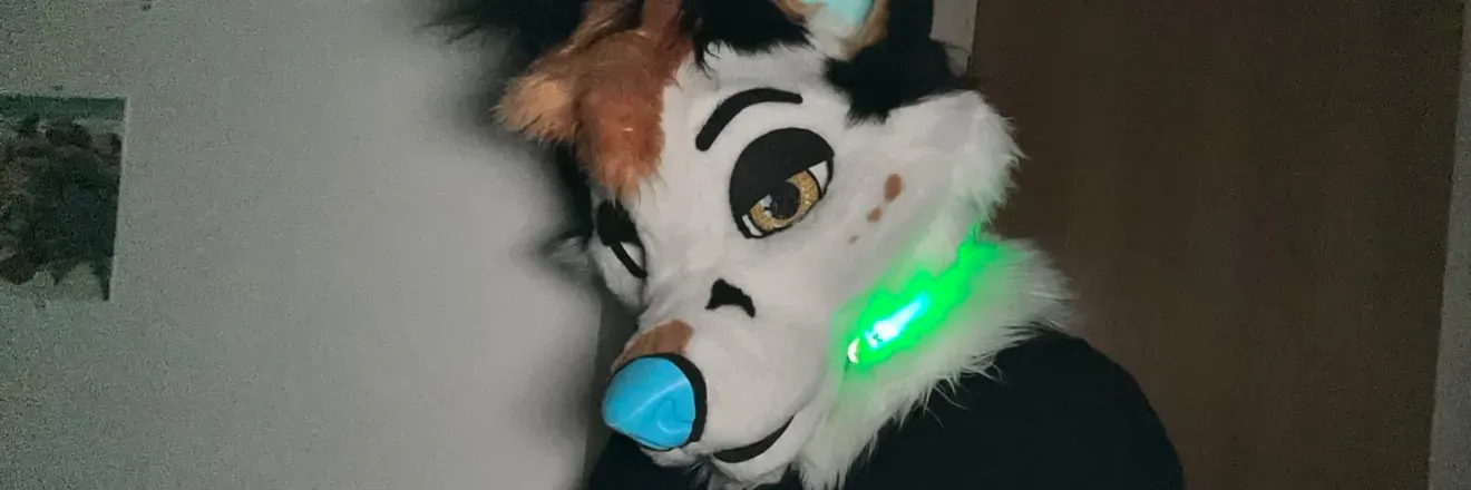 OnlyFans cuenta xerothearcticfox header 2