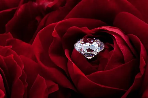 OnlyFans account  reddiamondrose header 2