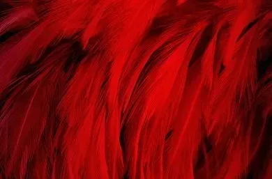 OnlyFans cuenta brookemoon header 2