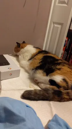 OnlyFans account  chillingwithcat header 2
