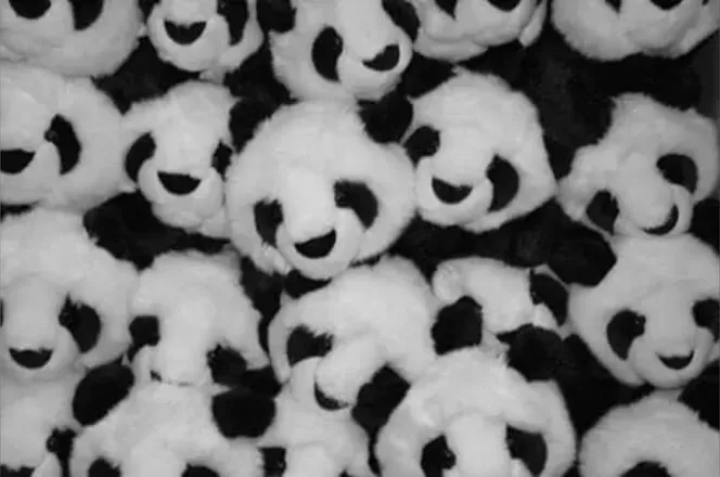 OnlyFans cuenta ireallylikepandas header 2