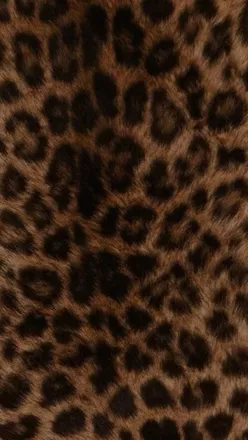 OnlyFans cuenta cinnamonexotic header 2