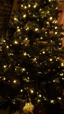 OnlyFans cuenta alexandrzol header 2