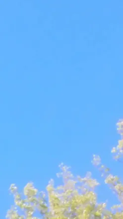 OnlyFans cuenta cindybabe header 2