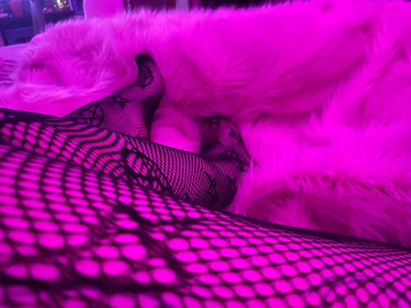 OnlyFans cuenta feral_wood_nymph header 2