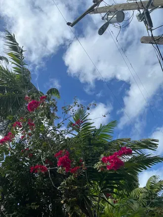 OnlyFans account  lilbbyroxy header 2