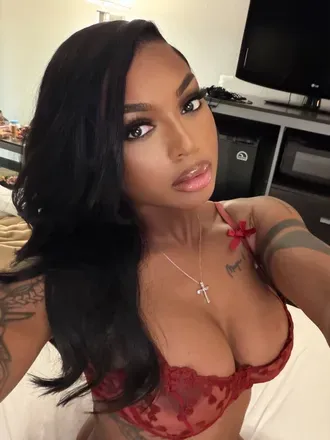 OnlyFans cuenta t__hollywood avatar 1