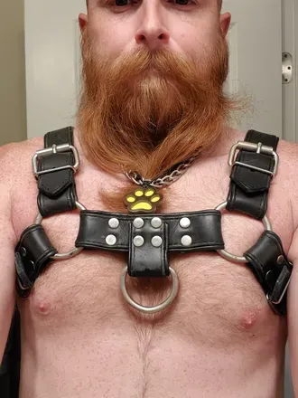 OnlyFans account  vikingpup header 2