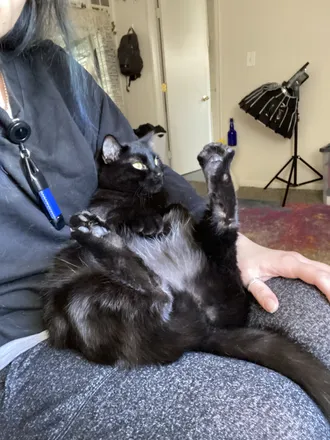 OnlyFans cuenta butitsjusttoebeans header 2