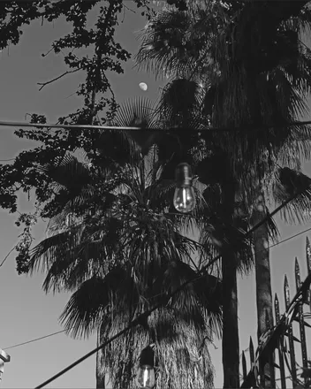 OnlyFans cuenta cios_stormborn header 2