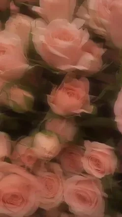 OnlyFans cuenta madewithlove_xo header 2