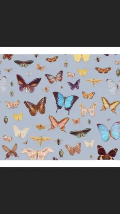 OnlyFans cuenta mariposa_bonita header 2