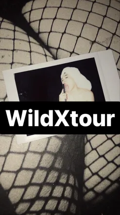 OnlyFans account  thewildxgirls header 2