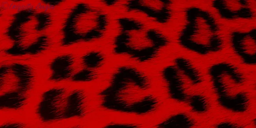 OnlyFans cuenta u134953040 header 2