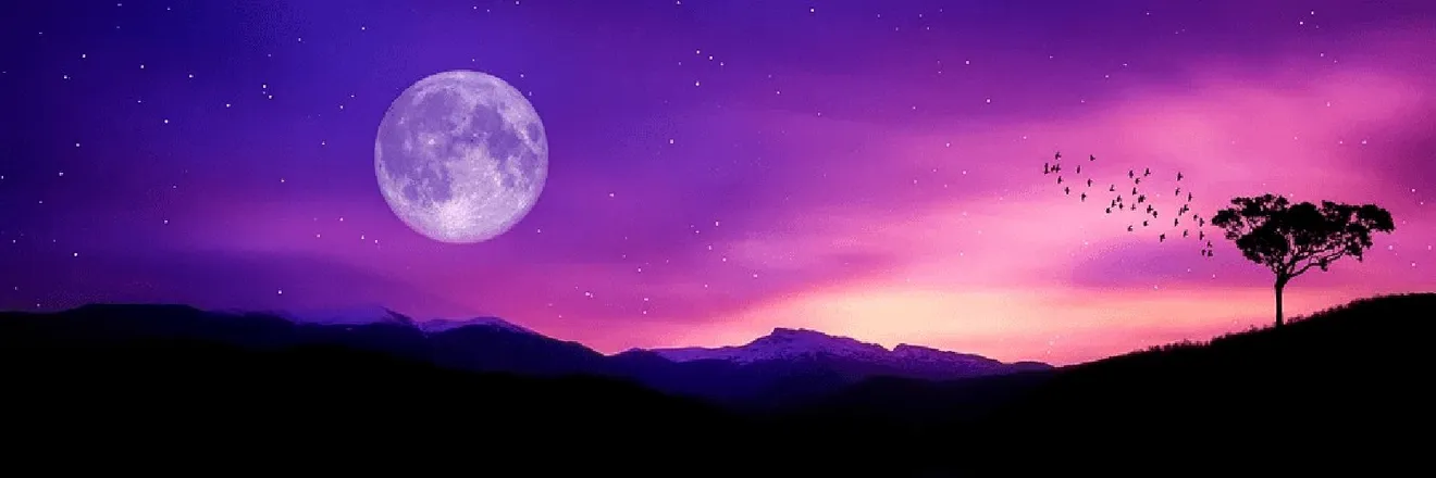 OnlyFans cuenta sk00tn header 2